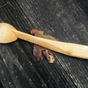 coffee scoop 2a