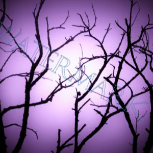 Purple Haze Tree Sillouette photograph- Matted 8 x10 nature photo in art 