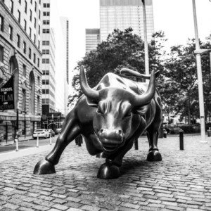 Finance Art, Wall Street Art, "Charging Bull"
