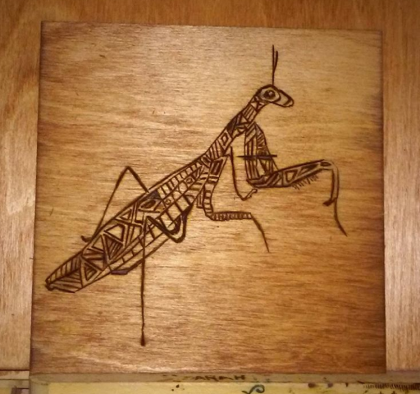 Praying Mantis - Pyrography Woodburning - 6" x 6"