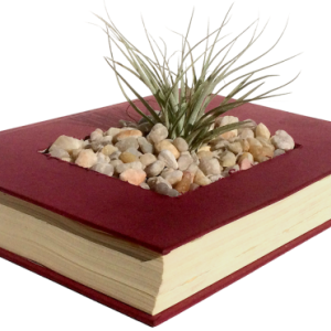 Eco Book-Planters - books repurposed and saved from the dump