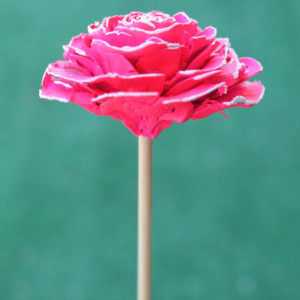 Hot Pink Hand-Painted Cedar Rose Pine Cone Flower