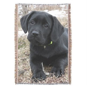 Black Labrador 6AS Throw Blanket - Black Lab Gifts - Labrador Gifts - Black Lab Blanket - Labrador Decor -Dog Lover Gift - Dog Blanket