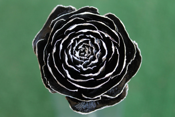 Black Hand-Painted Cedar Rose Pine Cone Flower