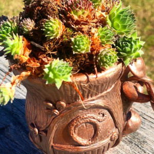 Hand Crafted Fairy House Planter - Votive Holder - Cut Flower Vase - Mushrooms Growing Out of a Stump - Bronze Rose Gold Copper Finish