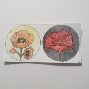 2"x 2" Poppy Watercolor (duo set)
