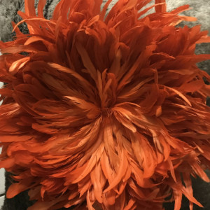 Tangerine Feather Wall Hanging Home Decor 