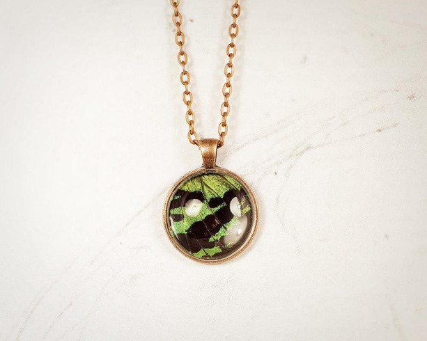 Real Butterfly Necklace - Real Butterfly Jewelry - Butterfly Wing Necklace - Real Insect Jewelry - Cooper Pendant - Green - Gift for Her
