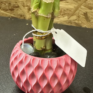 3D Printed Vase With Bamboo Plant #2