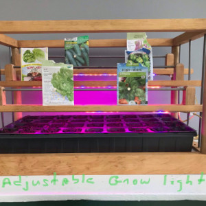 Lighted and heated seed starter