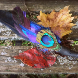Smudge Fan, Small, Crow-Raven Black Feathers, Peacock Accent, Cruelty Free