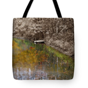 Reflections of Youth Tote Bag