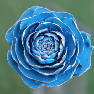 Light Blue Hand-Painted Cedar Rose Pine Cone Flower