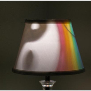 Hand-Painted Yin/Yang Rainbow Mood-Light Bulb 