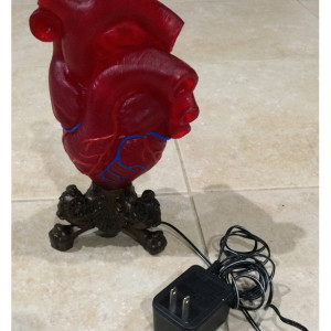 Anatomical Heart Desk Lamp, Pulsing LED