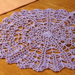 Spider Web Crocheted Doily