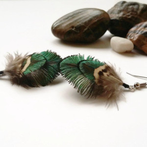 Small Peacock Feather Earrings - Natural Feather Earrings - Iridescent