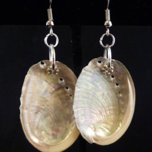 1" Abalone Shell Earrings