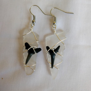 Sea glass and shark tooth earrings, clear sea glass earrings, shark tooth earrings, sea glass jewelry, Shark tooth jewelry, fossil jewelry