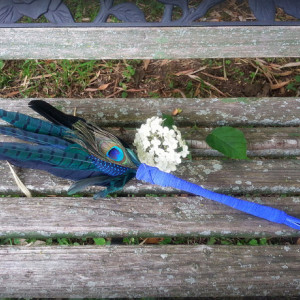 Smudge Fan-Pheasant,Raven, Crow Feather-Blue-Green-Cruelty Free, Blue Handle