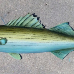 Striped Bass fish hand carved and painted from Palm tree frond art marine life painting, sea life, animals