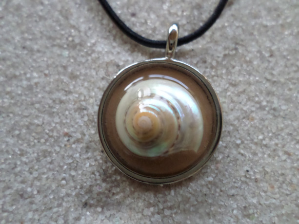resin necklace w. sea shell