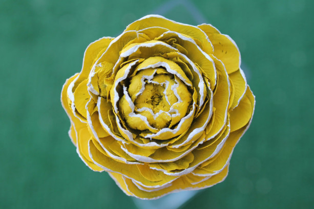 Yellow Hand-Painted Cedar Rose Pine Cone Flower