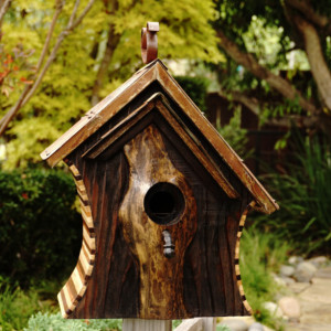 Unique Barn Wood Bird House With Upcycled Antique Accents