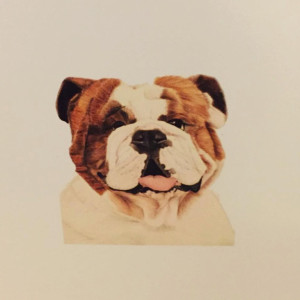 English Bulldog Cards with envelopes, English Bulldog Gift, Bulldog, Blank Note Cards, Stationery Set, Custom Stationery, Stationery Gift