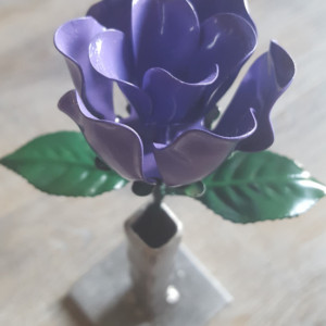 Purple Steel Rose