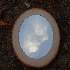 Rustic Wood Slice Mirror