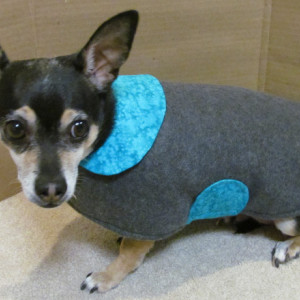 Dog Coats for Small, and Medium dogs