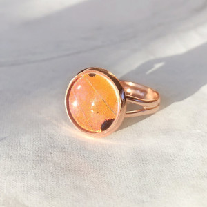 Real Butterfly Wing Ring - Real Butterfly Jewelry - Rose Gold Ring - Gift for Her - Orange Ring - Bohemian Jewelry - Nature Jewelry