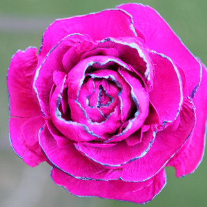 Magenta Hand-Painted Cedar Rose Pine Cone Flower