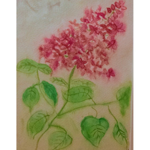 Watercolor Painting Flower hyacinth pink green original