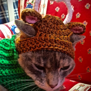 Crocheted Christmas Reindeer Hat for Cat or Small Dog
