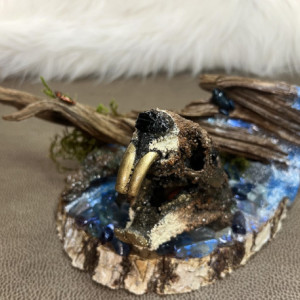 Beaver Skull with Nature Stand