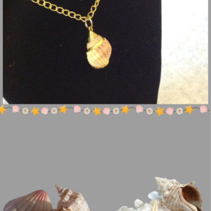 Shell Gold Necklace