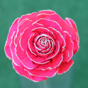 Hot Pink Hand-Painted Cedar Rose Pine Cone Flower