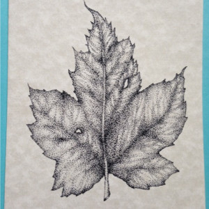 maple leaf blank note cards