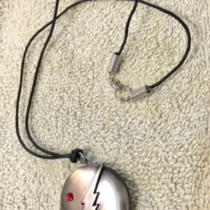 The Flash Locket necklace 20" long