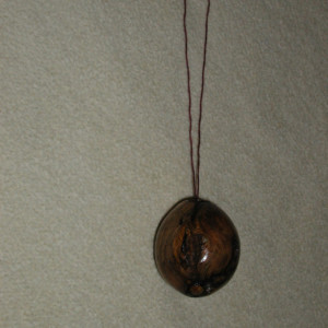 Pine Burl Ornament  #7