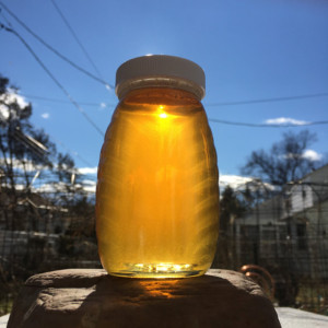 New Jersey Raw and Pure Honey - 1/2 Lb Glass Jar