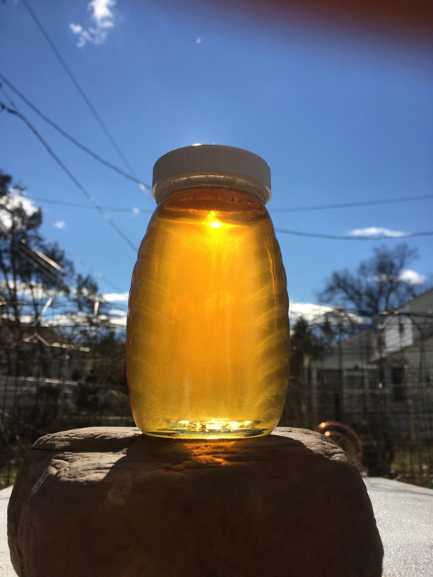 New Jersey Raw and Pure Honey - 1/2 Lb Glass Jar