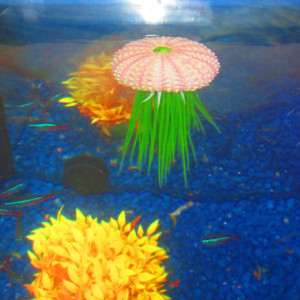 Betta fish rest, Jellyfish, Aquarium decoration, aquarium planter, aquarium plants Pink Sea Urchin fish tank decoration Betta Rest