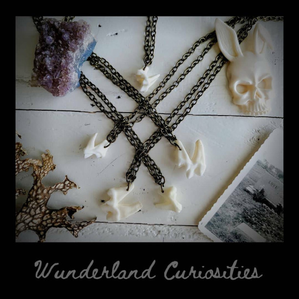 Wunderland jewelry// Coyote teeth necklace // special jewelry// oddity// taxidermy