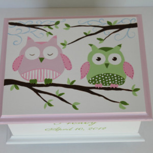 Baby Keepsake Memory Box pink and green owls personalized baby gift
