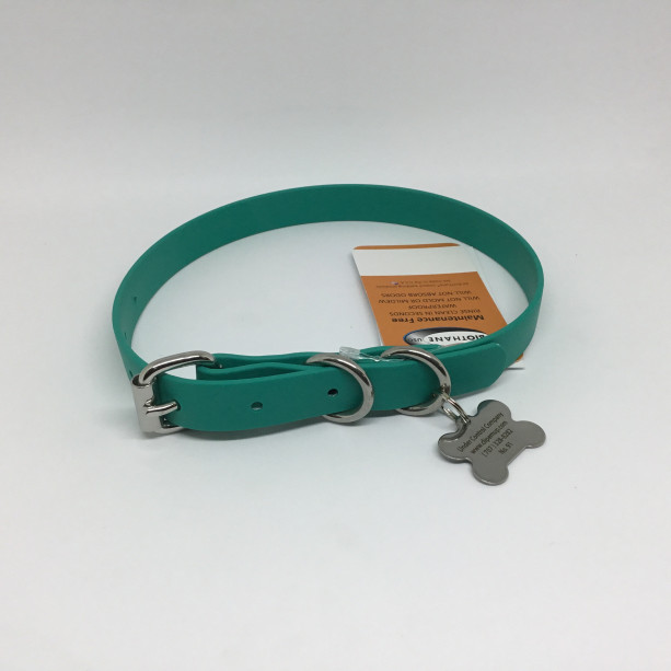 Small Beta BioThane Adjustable Flat Dog Collar with Stainless Steel Hardware