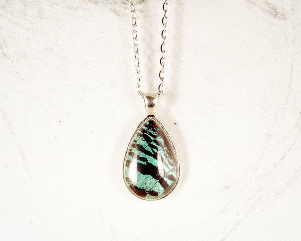 Real Butterfly Jewelry - Real Butterfly Wing Necklace - Green and Black - Real Insect Jewelry - Gift for Her - Tear Drop Pendant
