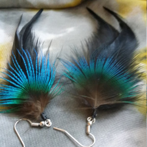 Black Feather Earrings with Peacock Accent Feather _ Iridescent Peacock Feather Earrings